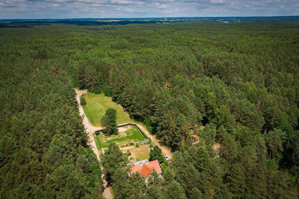 Mazurska Lesniczowka Nowy Zyzdroj Bed and Breakfast Eksteriør billede