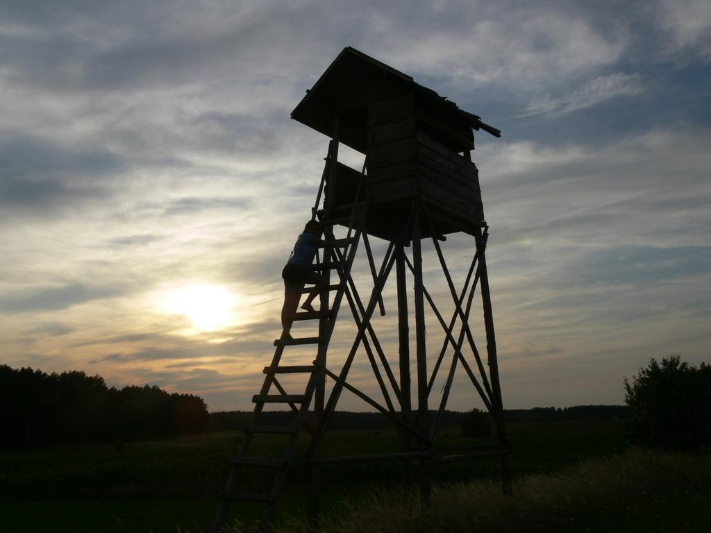 Mazurska Lesniczowka Nowy Zyzdroj Bed and Breakfast Eksteriør billede